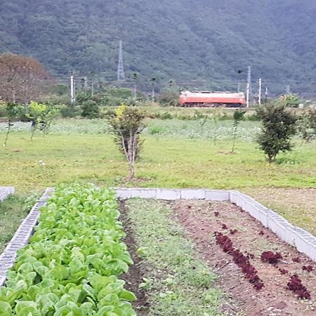 Taroko Formosa Homestay Xiulin Экстерьер фото