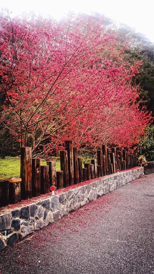 Taroko Formosa Homestay Xiulin Экстерьер фото