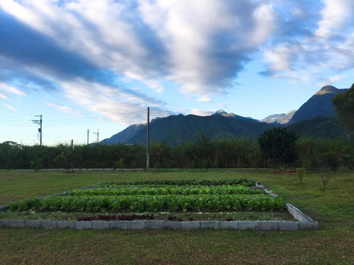 Taroko Formosa Homestay Xiulin Экстерьер фото