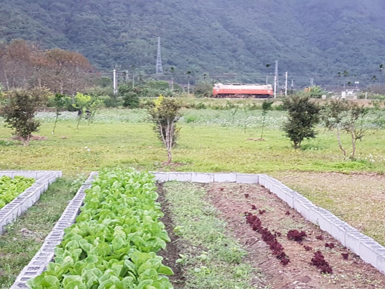 Taroko Formosa Homestay Xiulin Экстерьер фото